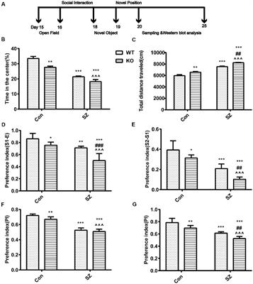 G Protein-Coupled Estrogen Receptor 1 Knockout Deteriorates MK-801-Induced Learning and Memory Impairment in Mice